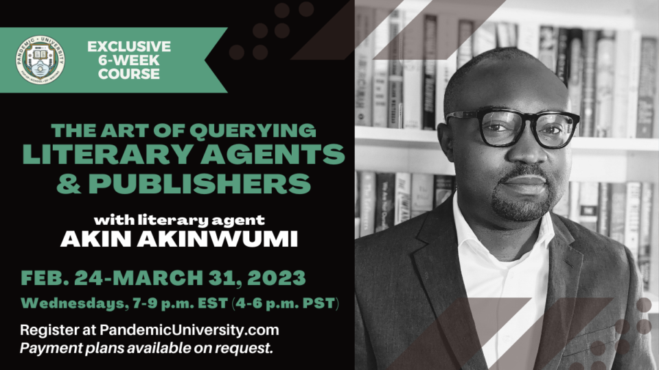 Akin Art of the Query